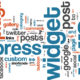 Wordpress CMS graphic
